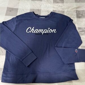 Champion Men's Navy Sweater